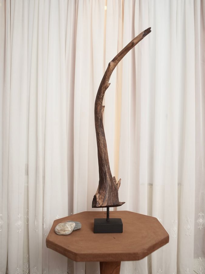 Arboreal Crane