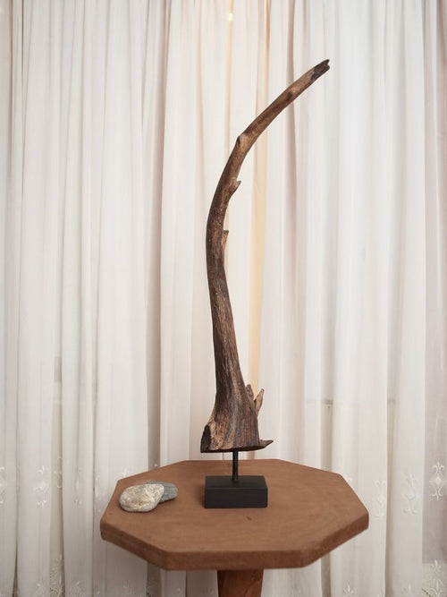 Arboreal Crane