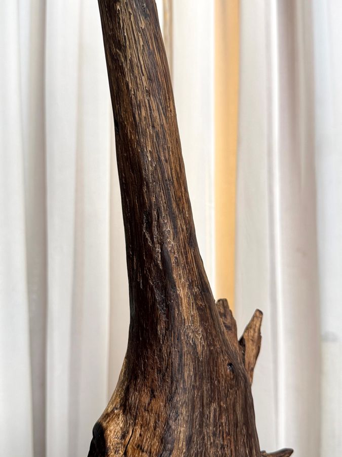 Arboreal Crane