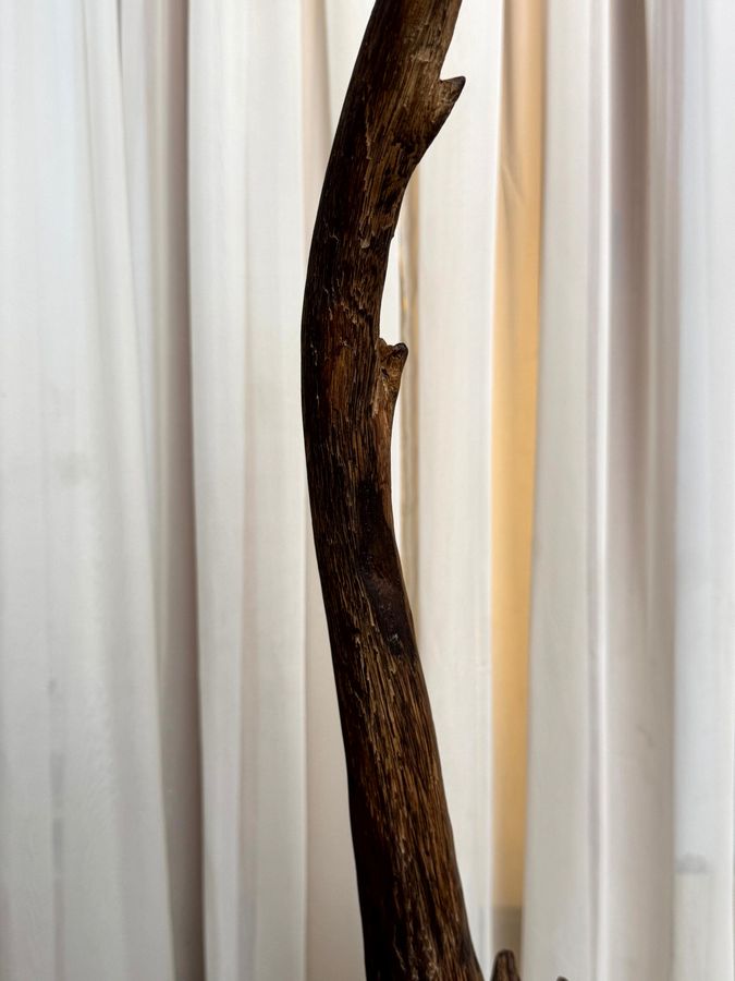 Arboreal Crane
