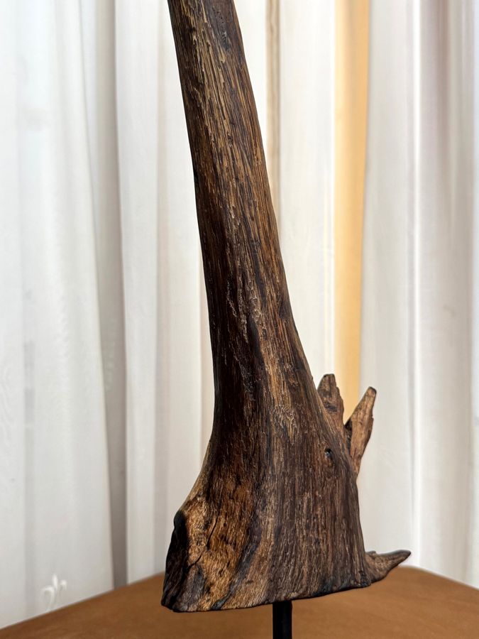 Arboreal Crane