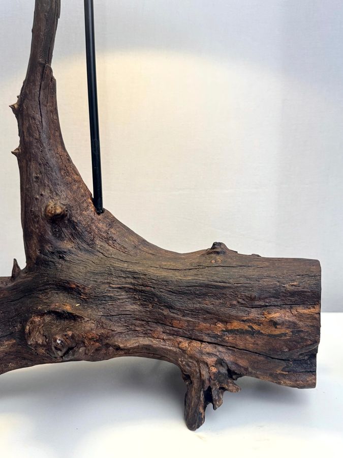 The Vertical Bough