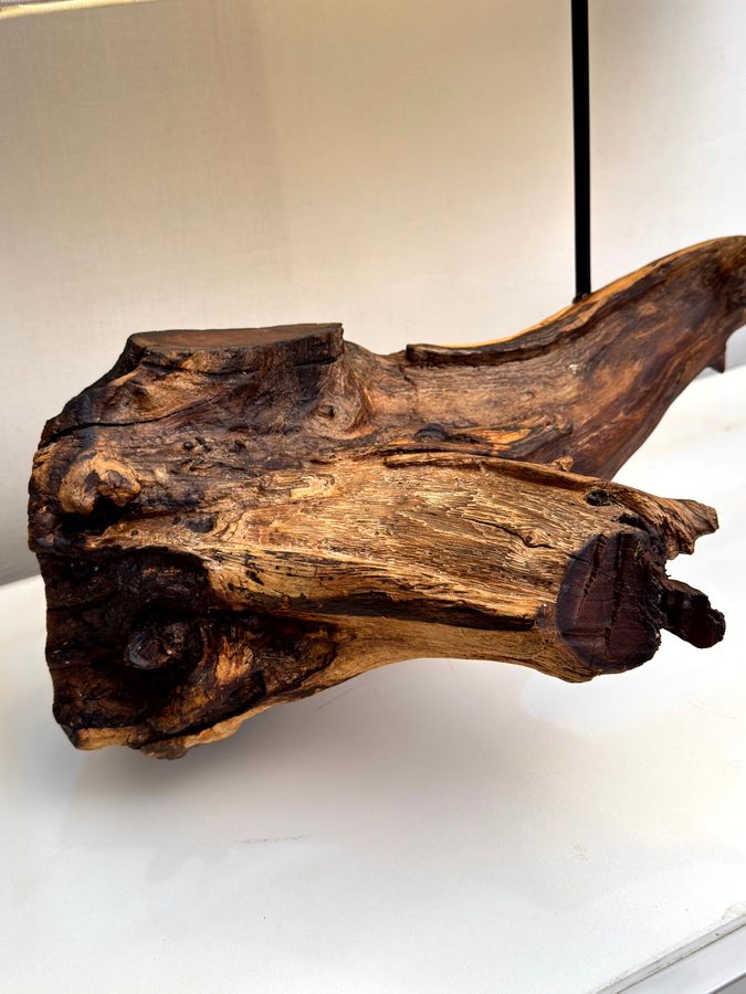 Burl & Wave