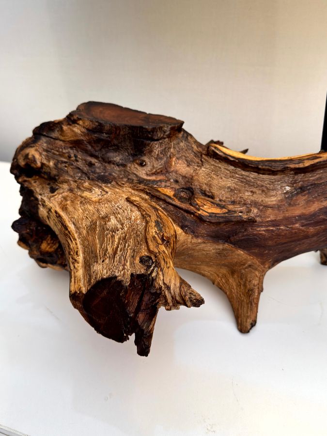 Burl & Wave