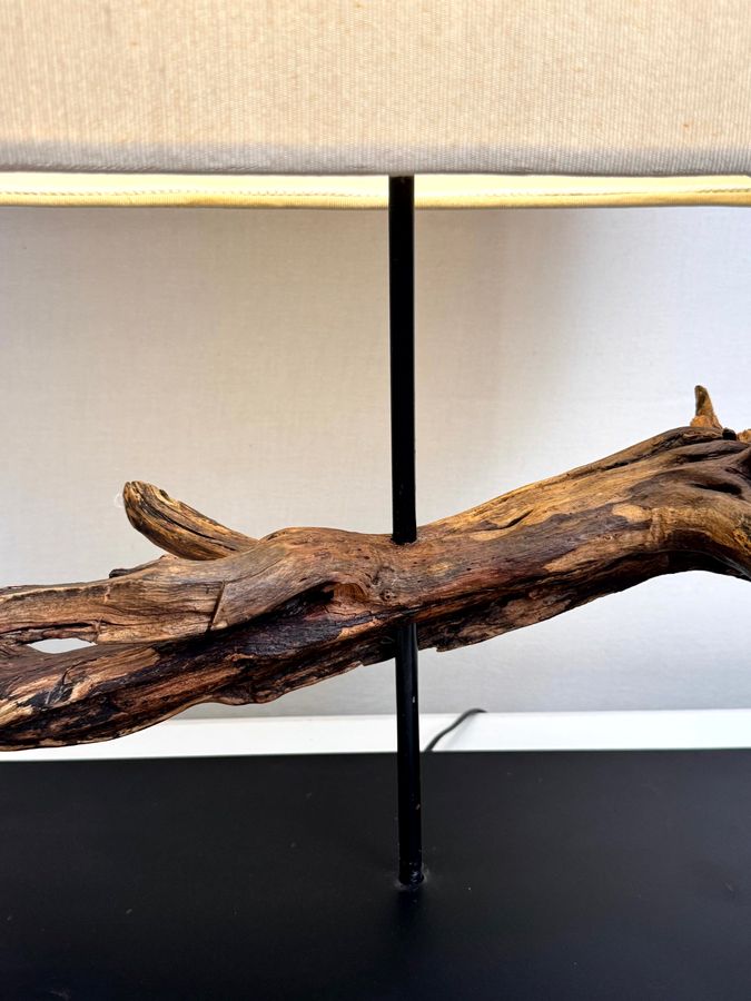 The Arborial Anchor