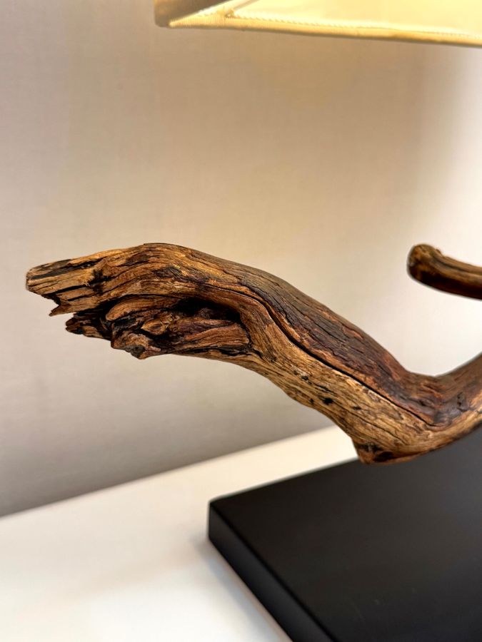 The Arborial Anchor