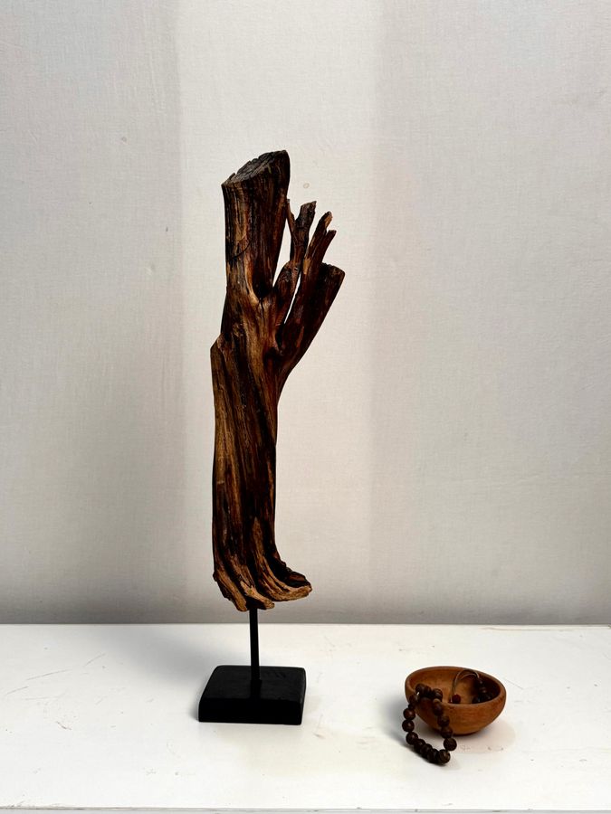 The Reaching Crown