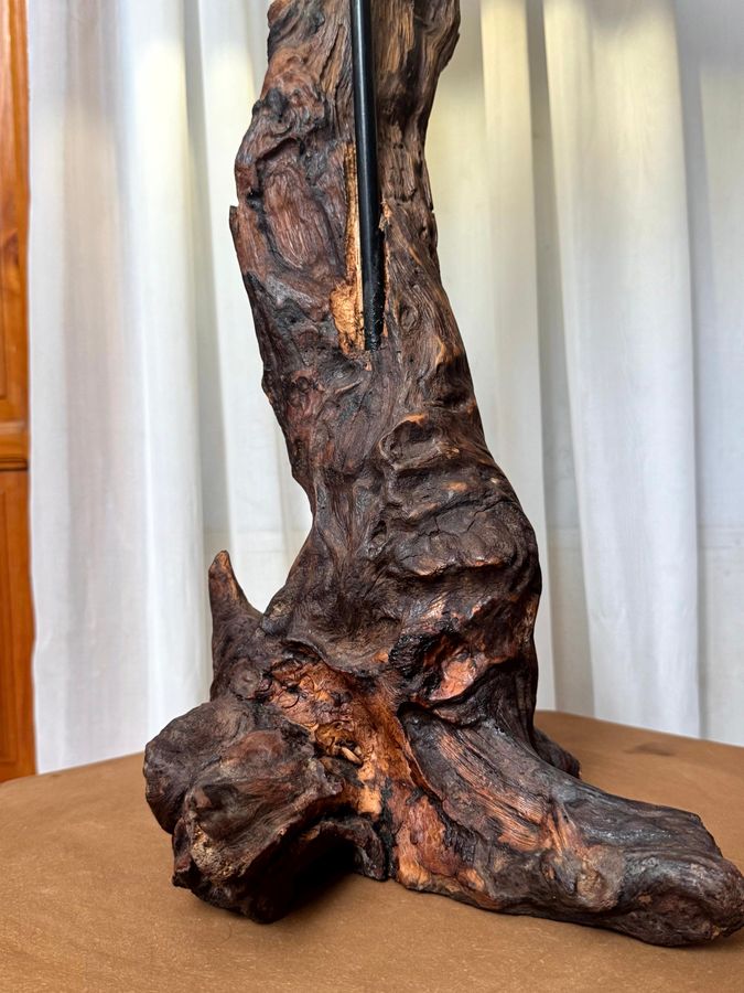 The Twisted Totem