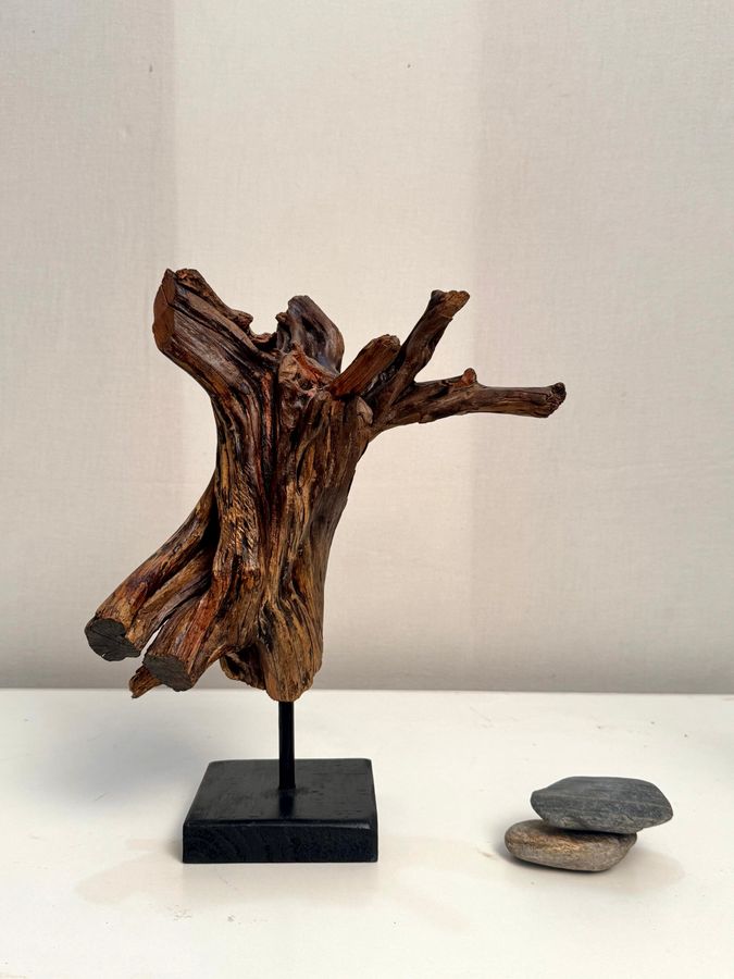 Gnarled Rebirth