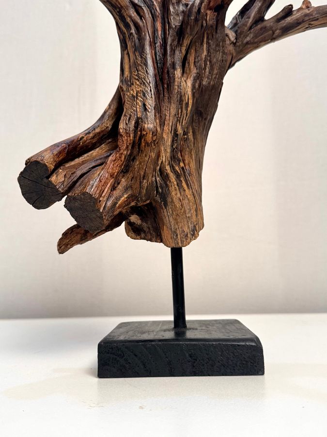 Gnarled Rebirth