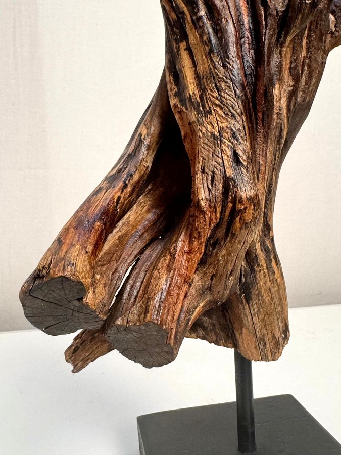 Gnarled Rebirth