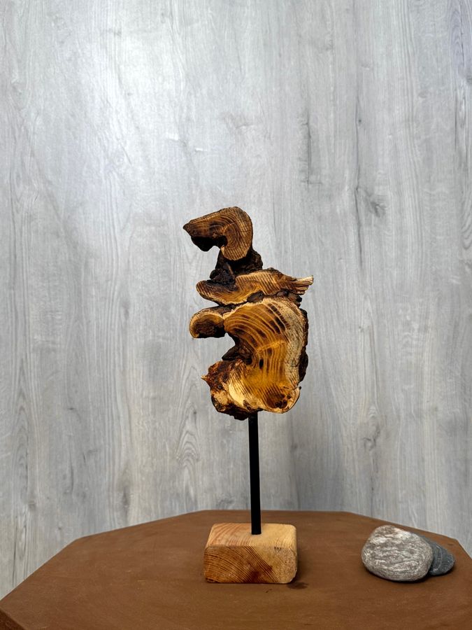 The Amber Helix