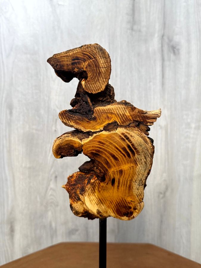 The Amber Helix