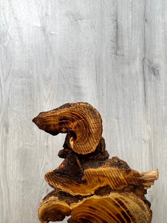 The Amber Helix