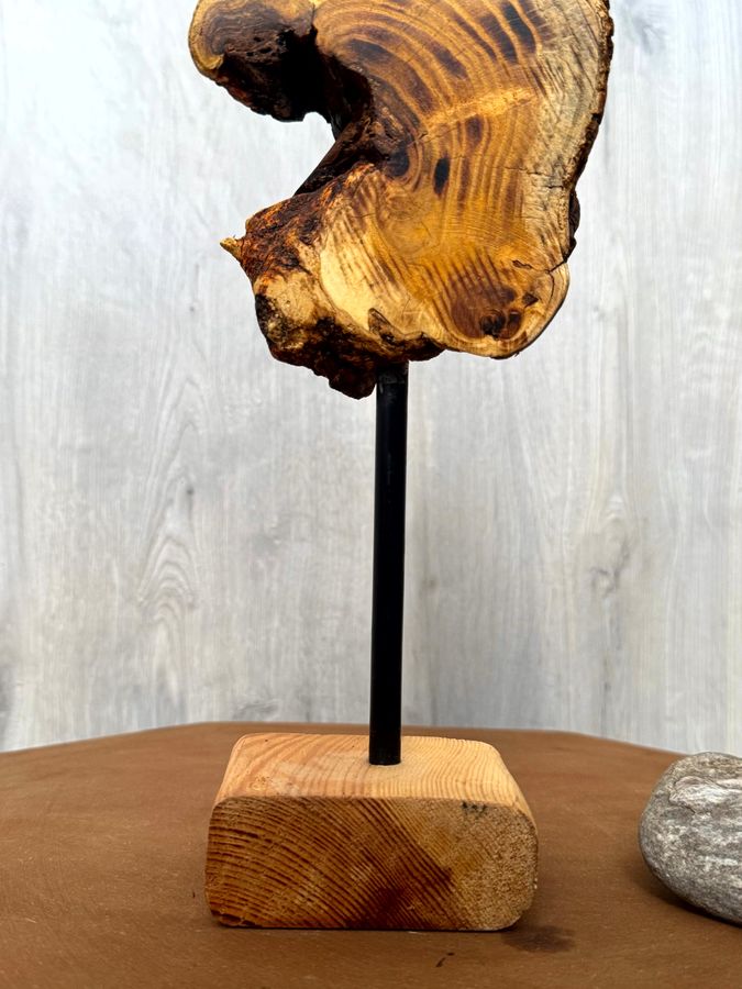 The Amber Helix