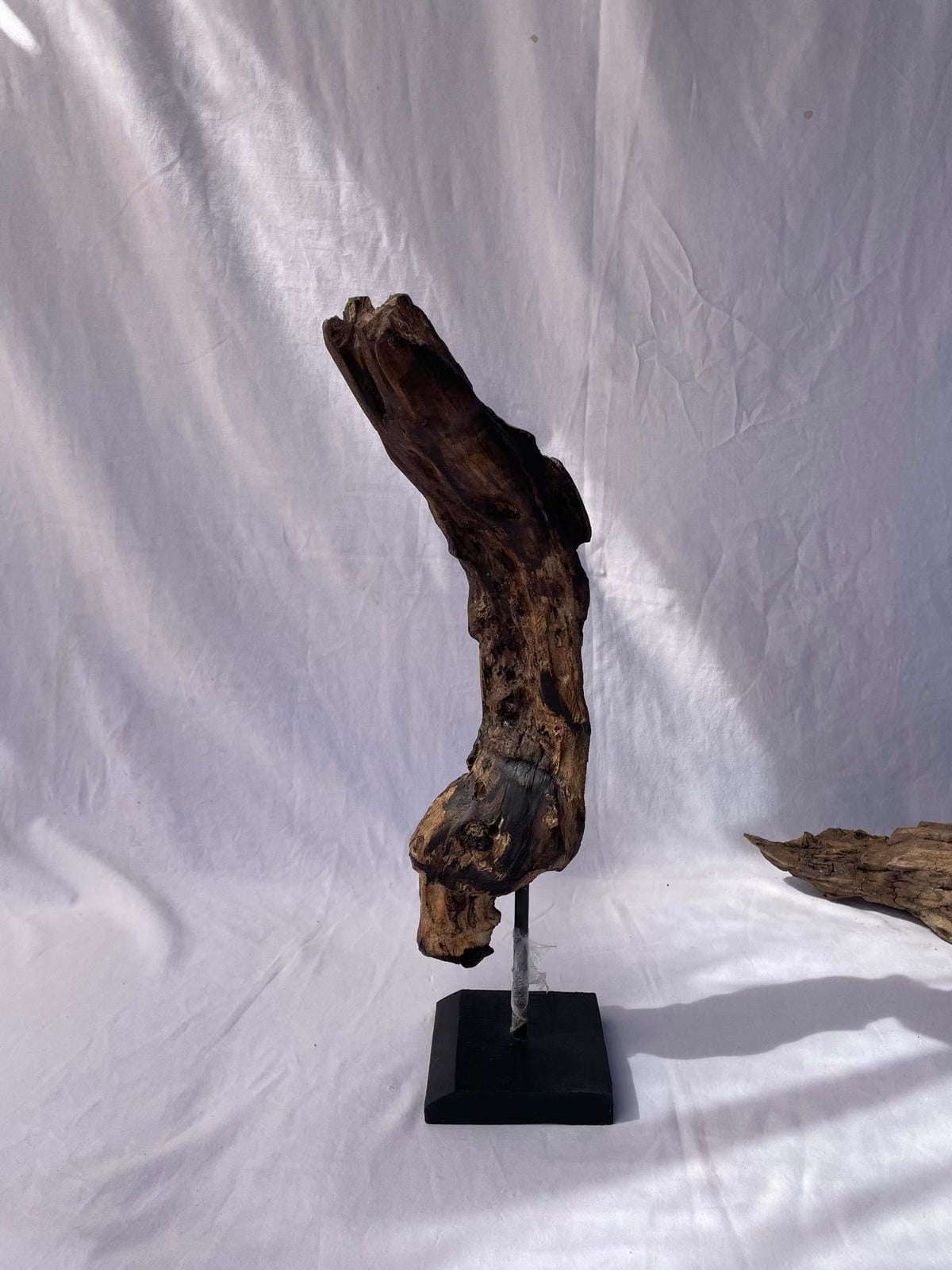 The Ancient Heart Sculpture