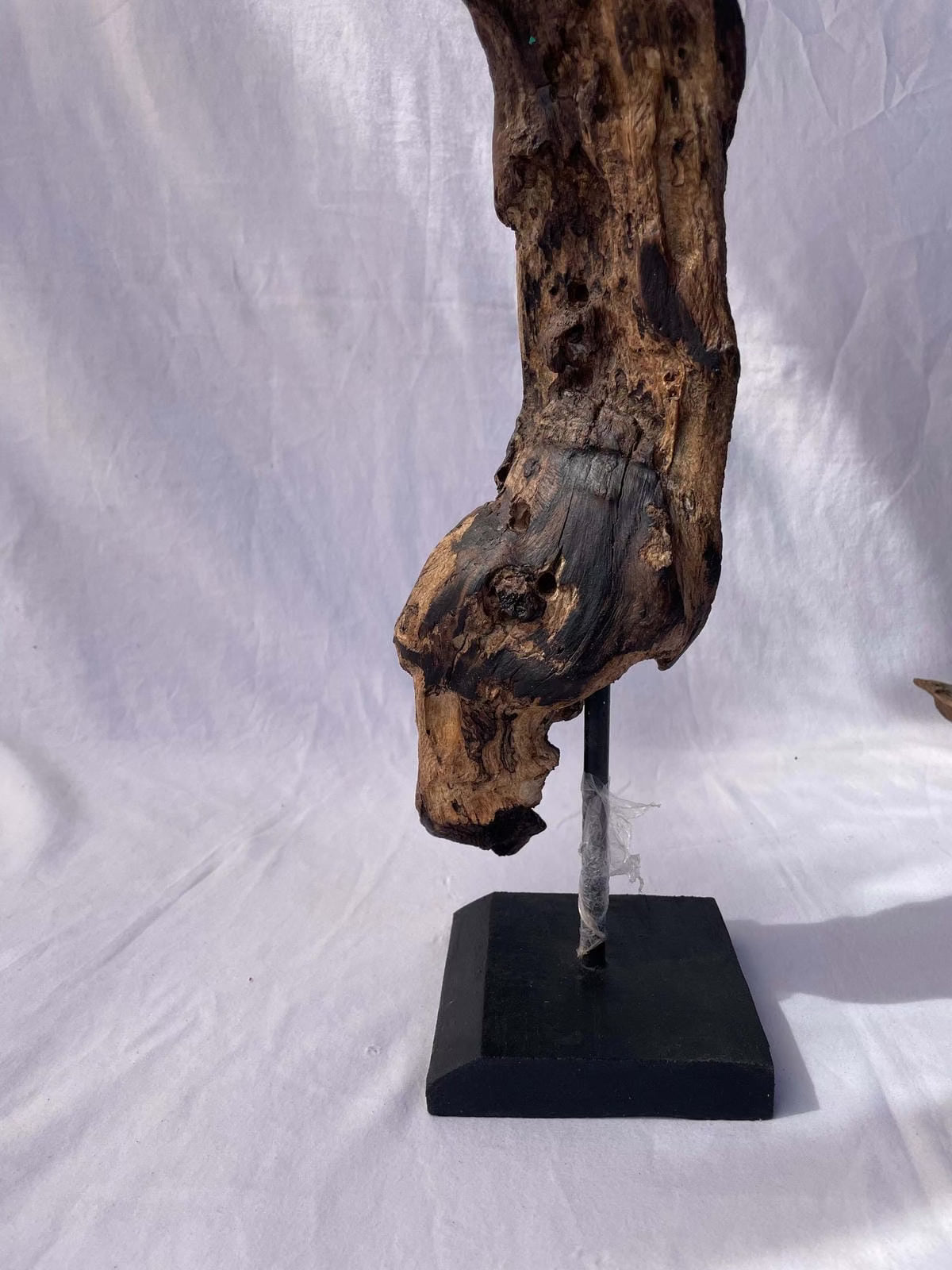 The Ancient Heart Sculpture