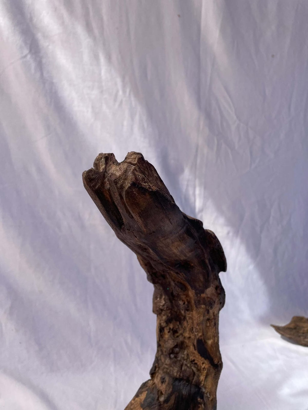 The Ancient Heart Sculpture