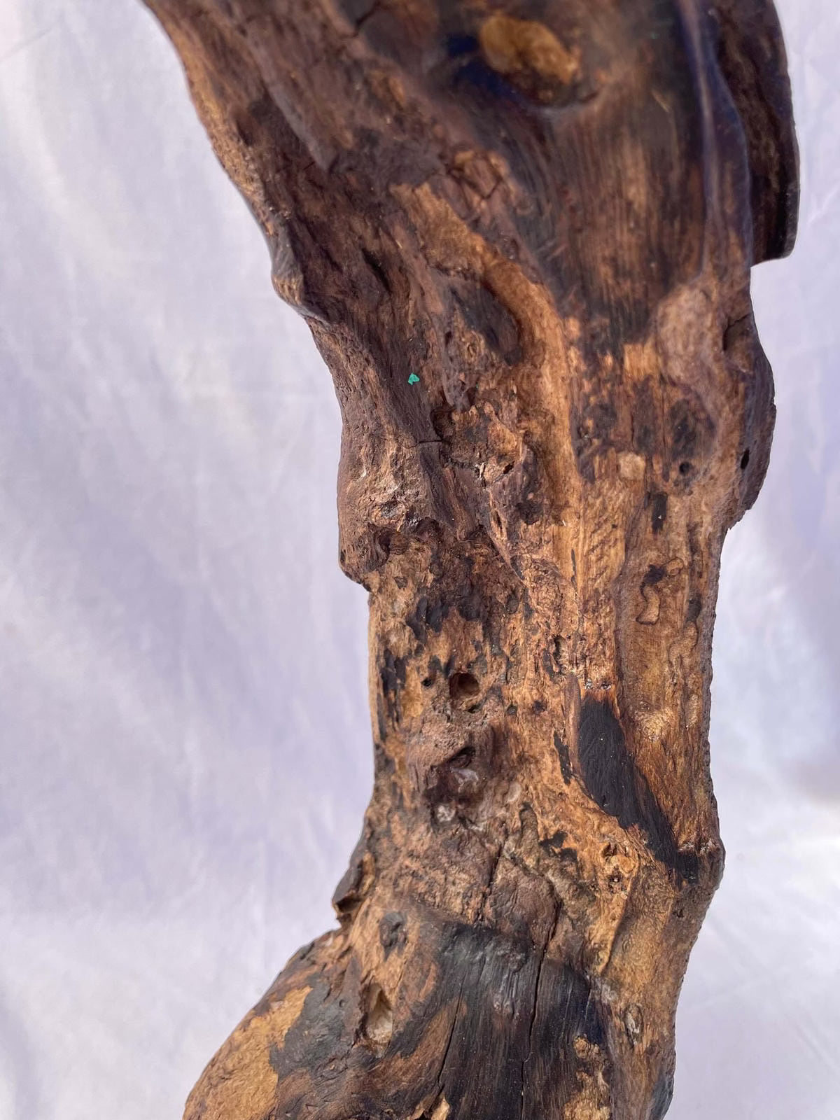 The Ancient Heart Sculpture