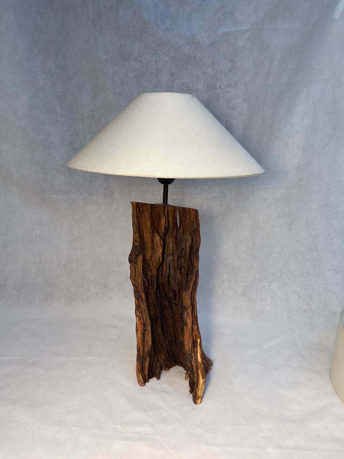 Artisanal Live-Edge Log Drift Wood Lamp