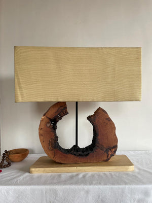 Crescent Moon Rectangular Lamp