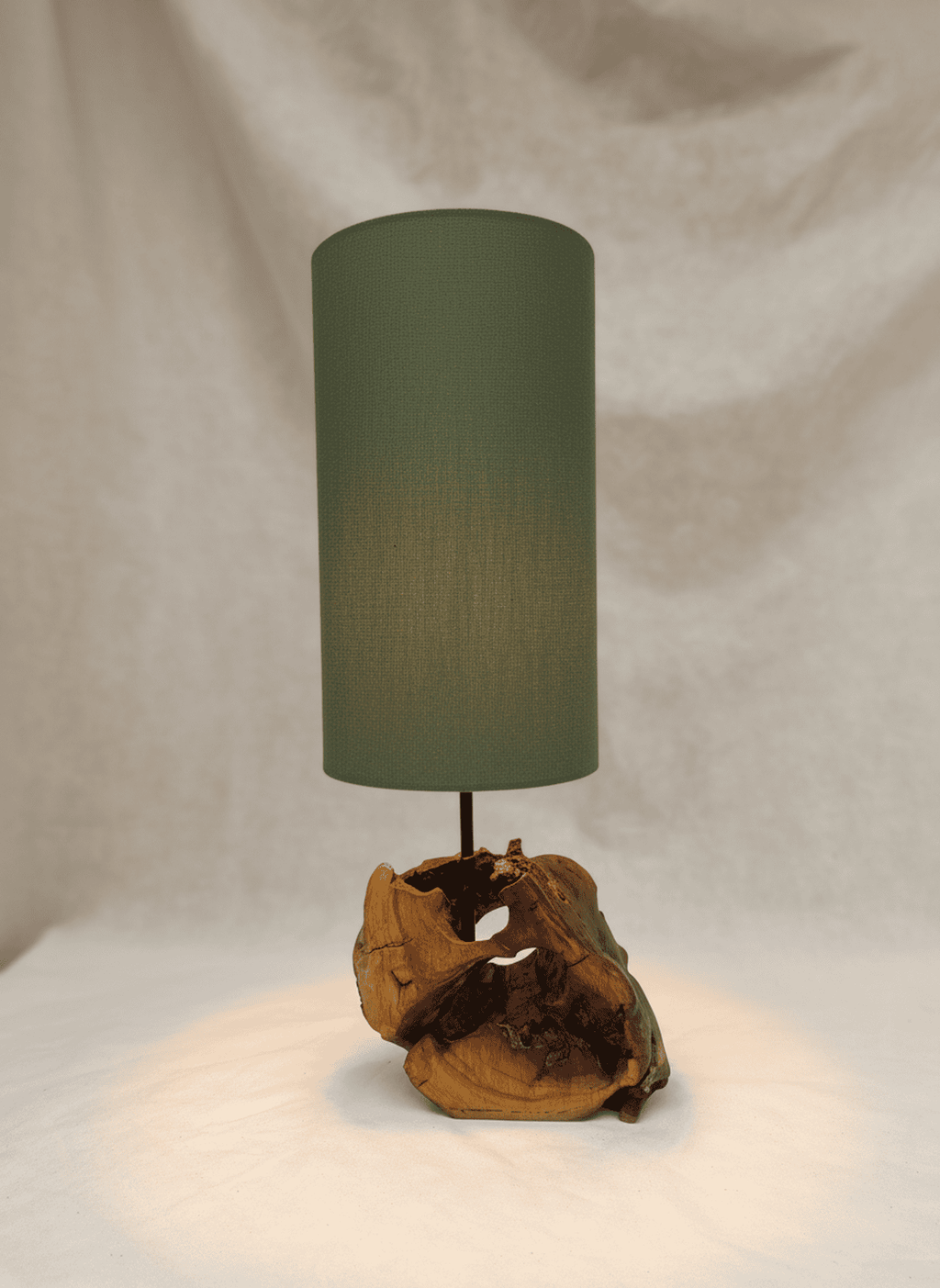 Verdant Hollow Driftwood Lamp