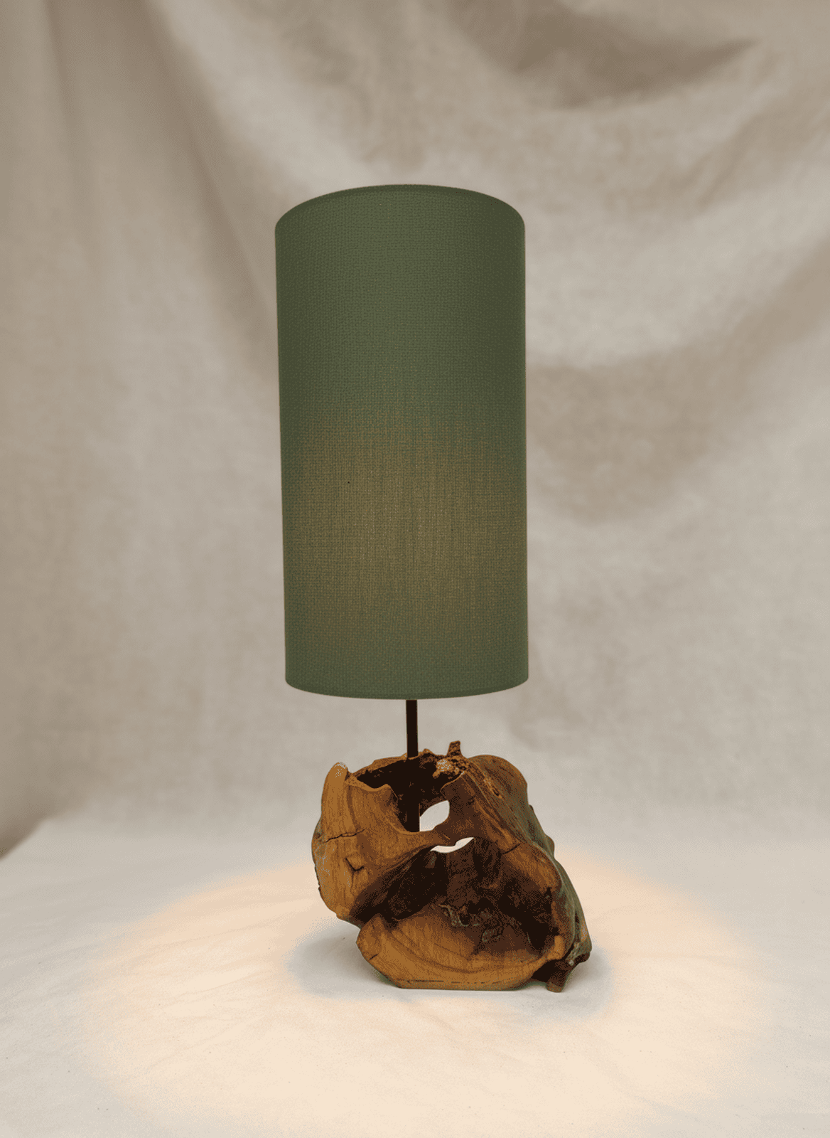 Verdant Hollow Driftwood Lamp
