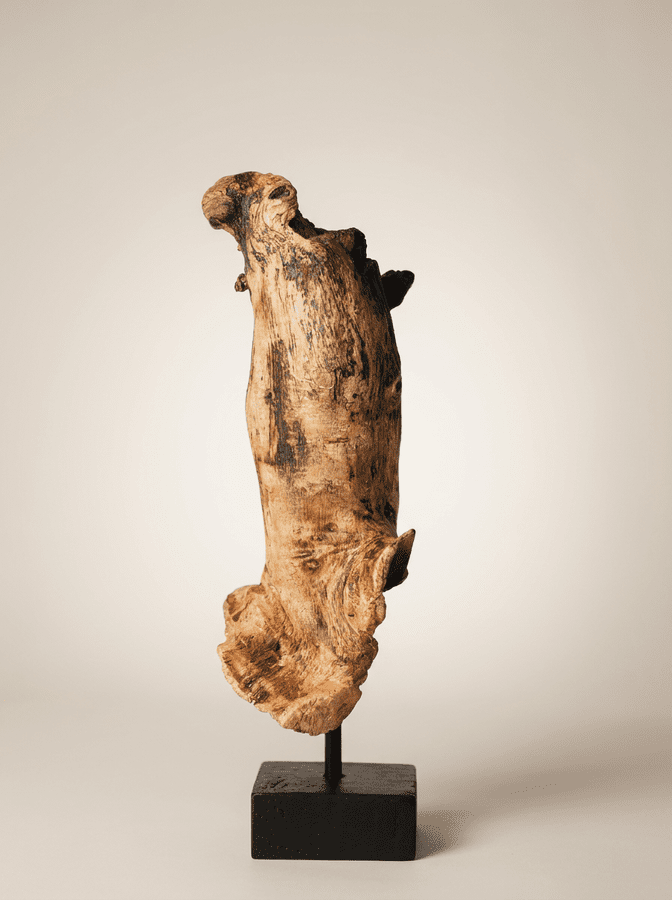 The Fossilized Wing The Fossilized Wing is a study in dense, organic movement. This vertical sculpture features a heavy