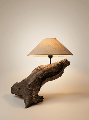 The Rooted Echo The Rooted Echo is a study in primal containment and organic resonance. This functional sculpture is