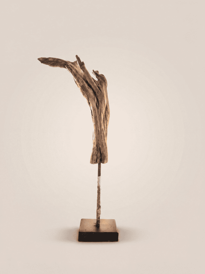 The Zephyr Wing A study in organic momentum, The Zephyr Wing captures the invisible force of the wind. The weathered timber