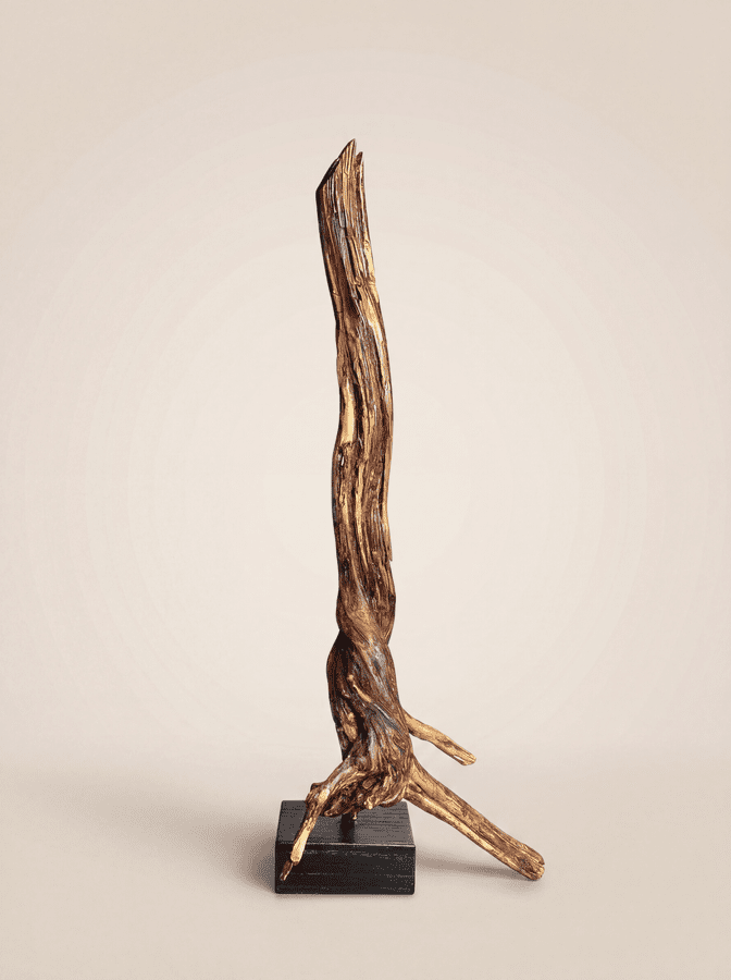The Flare Spire A study in vertical momentum and organic heat. The Flare Spire rises from a unique, three-pointed root
