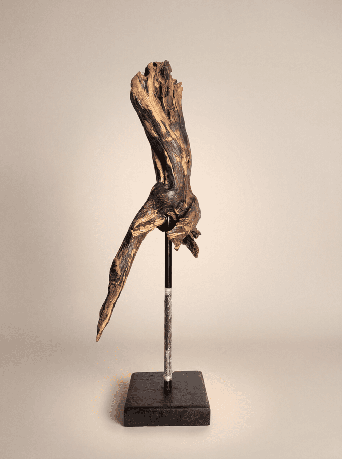 Obsidian Torso This sculpture captures a sense of organic athleticism. Its central mass is a complex knot of weathered grain