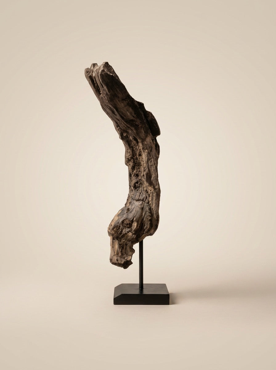 The Ancient Heart Sculpture A heavy, grounded sculpture that emphasizes the dense, swirling grain and deep natural hollows