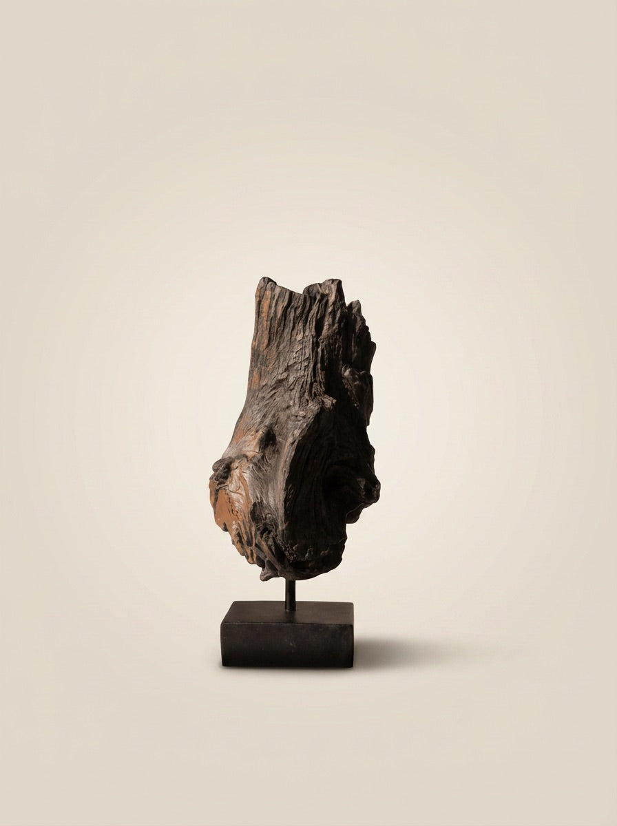 The Willow’s Grace This piece features a slender, branching wood segment that splits into three distinct, upward-reaching