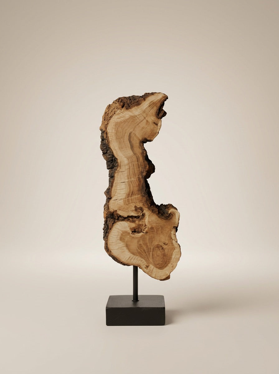 Live-Edge Teak Wood Sculpture Forged by nature and refined by hand, this organic sculpture captures the raw, intricate