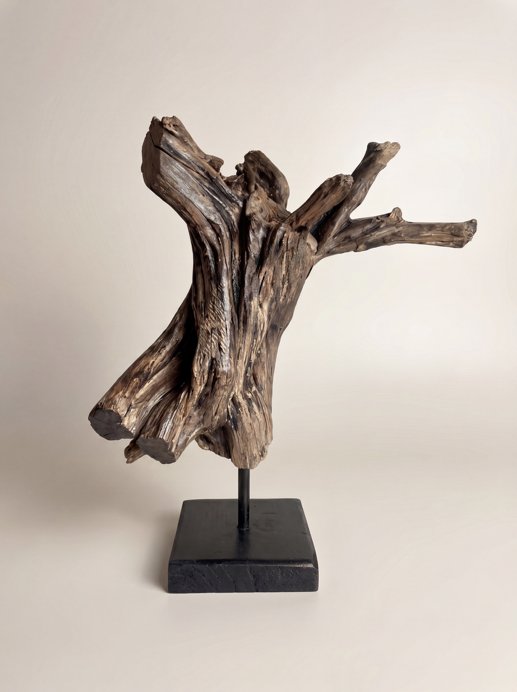 Gnarled Rebirth