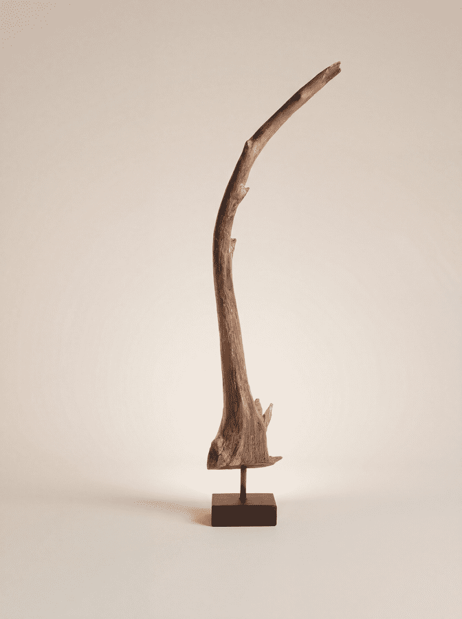 Arboreal Crane
