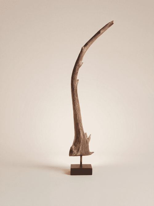 Arboreal Crane