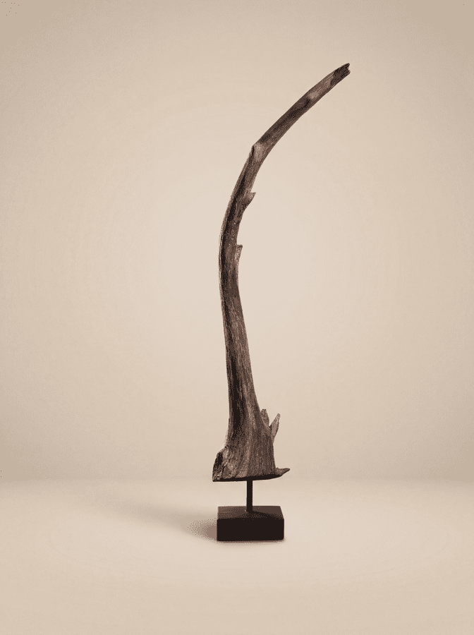Cresting Crane