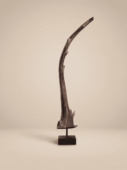 Cresting Crane