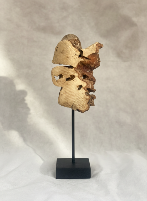 Abstract Teak Root Decor