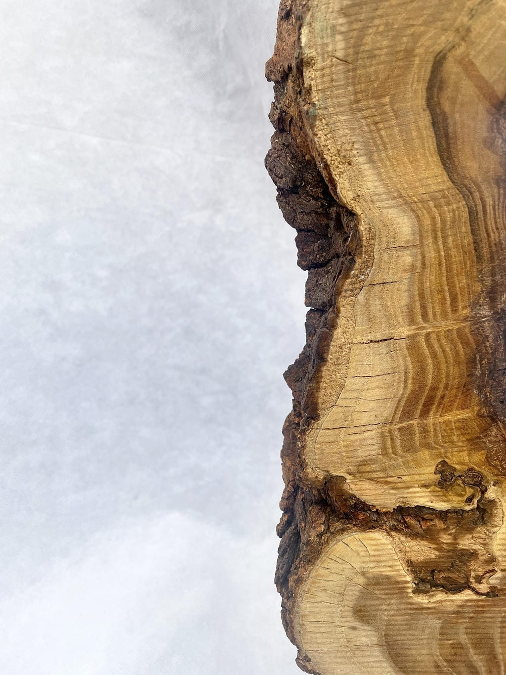 Live-Edge Teak Wood Sculpture