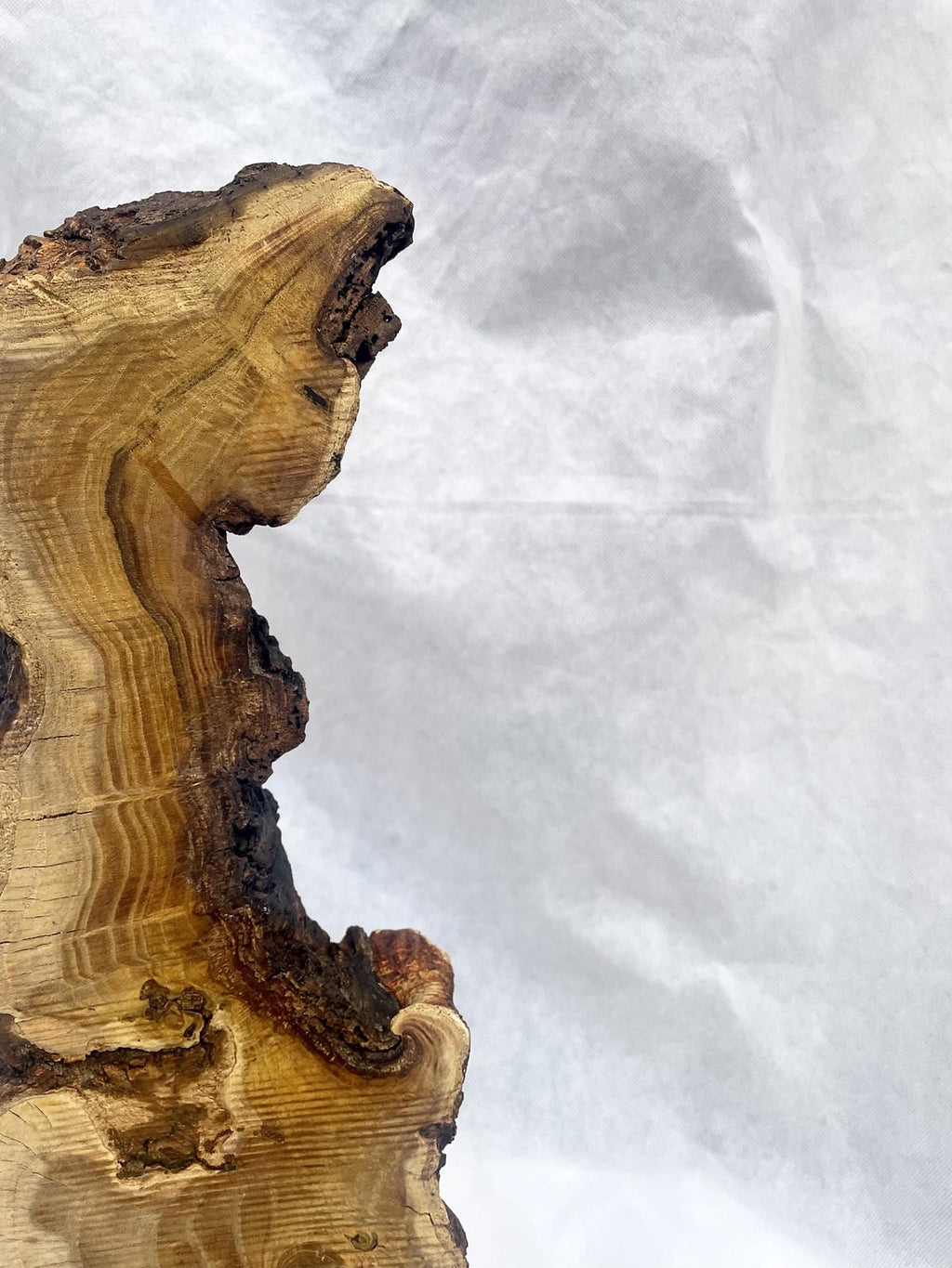 Live-Edge Teak Wood Sculpture