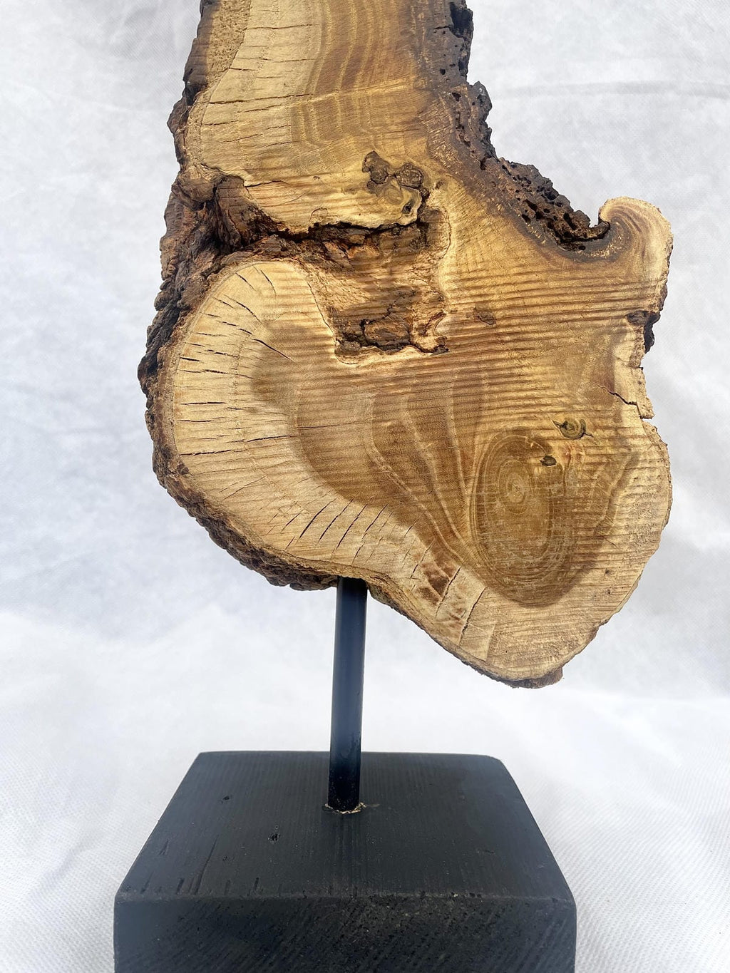Live-Edge Teak Wood Sculpture