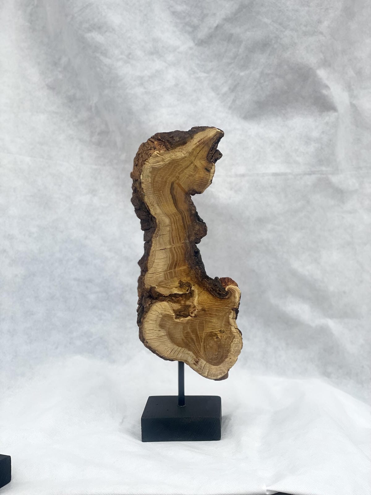 Live-Edge Teak Wood Sculpture