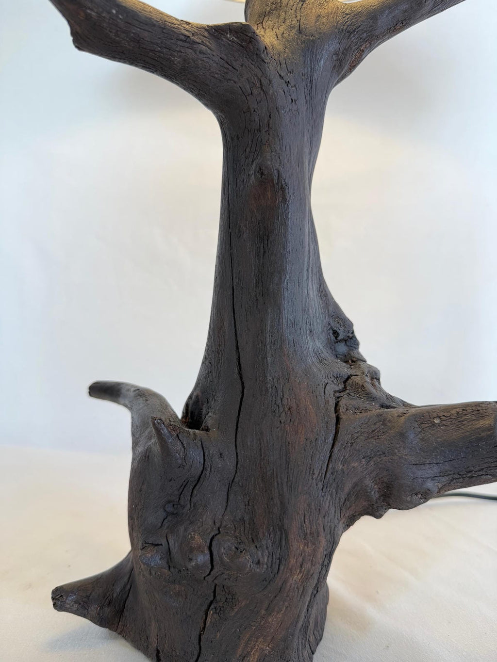 The Amber Burl Lamp - Ghaaroon