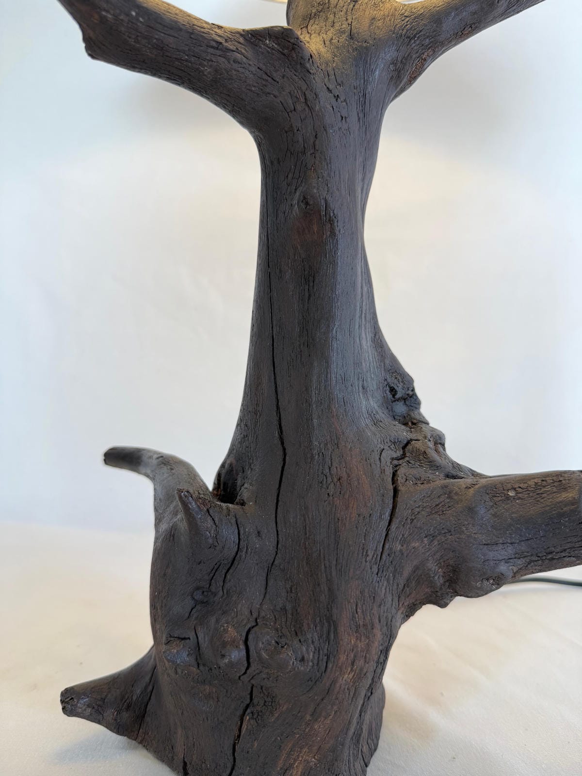 The Amber Burl Lamp - Ghaaroon