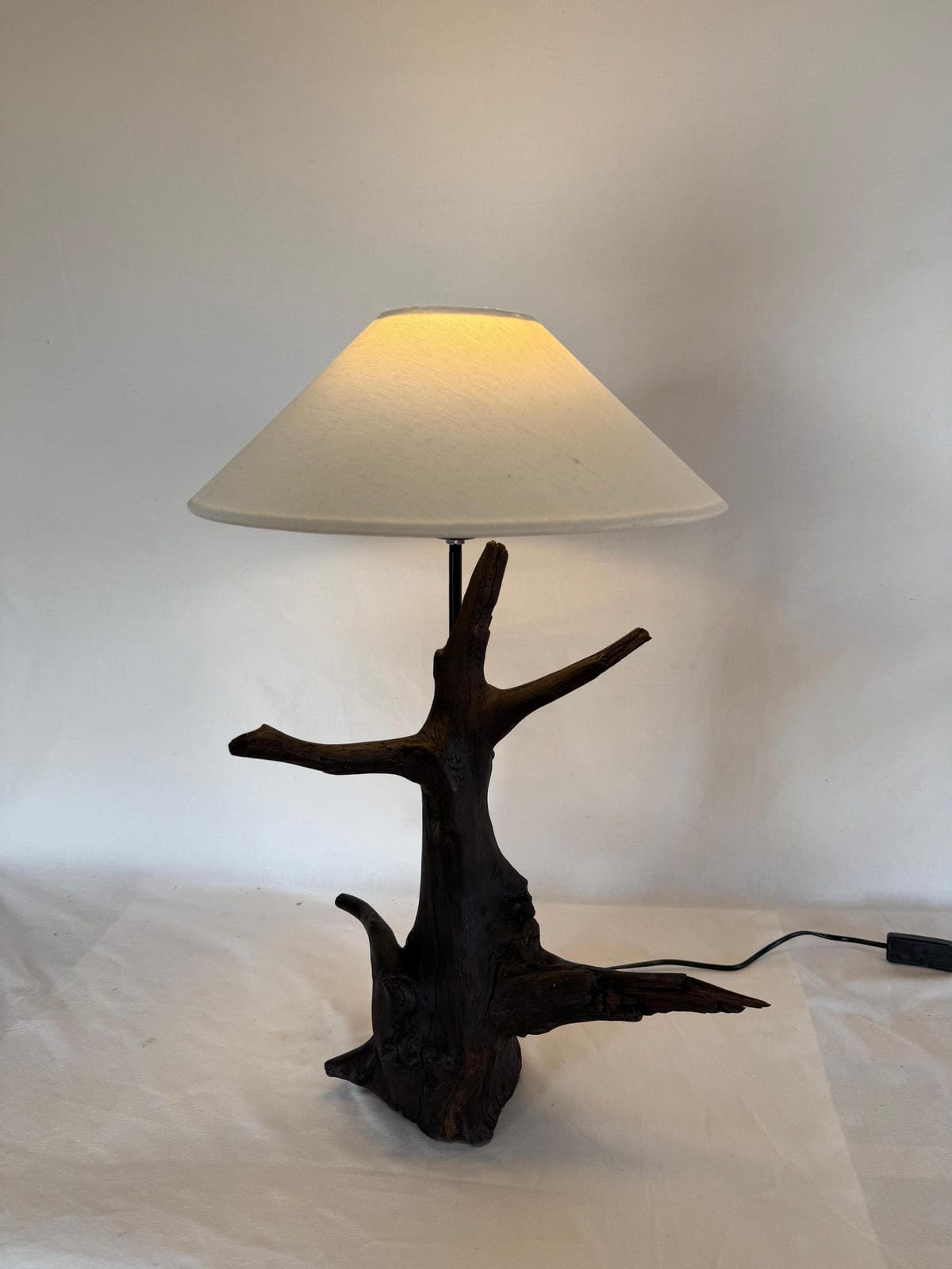 The Amber Burl Lamp - Ghaaroon