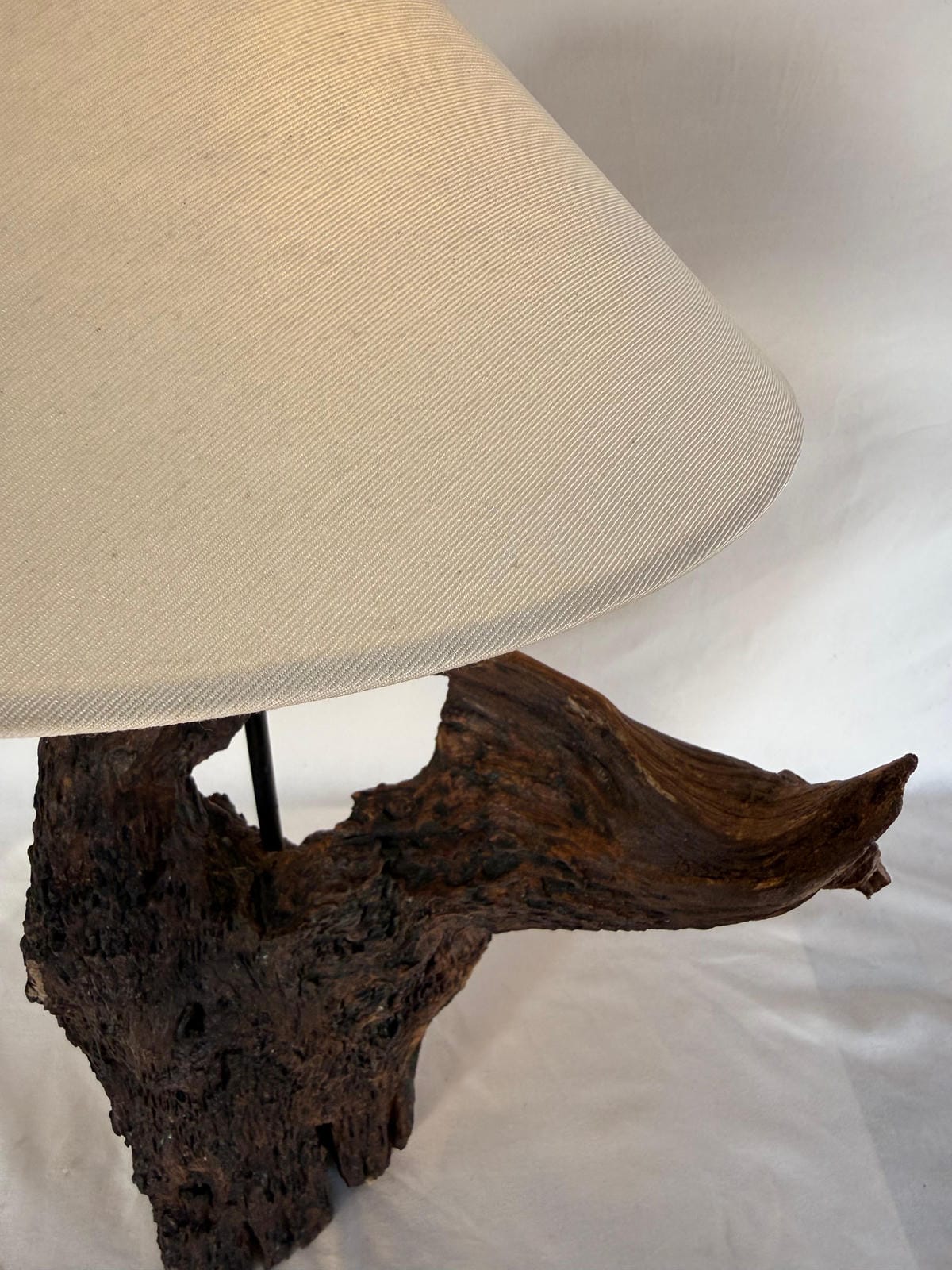 The Earthen Arch Sculptural Driftwood Lamp - Ghaaroon