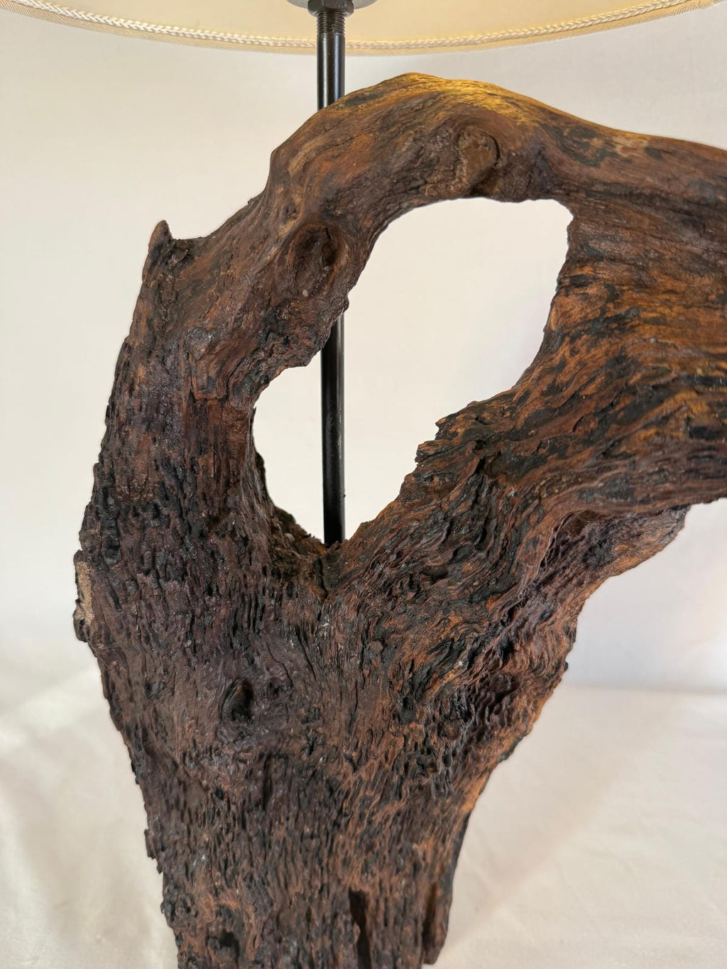 The Earthen Arch Sculptural Driftwood Lamp - Ghaaroon